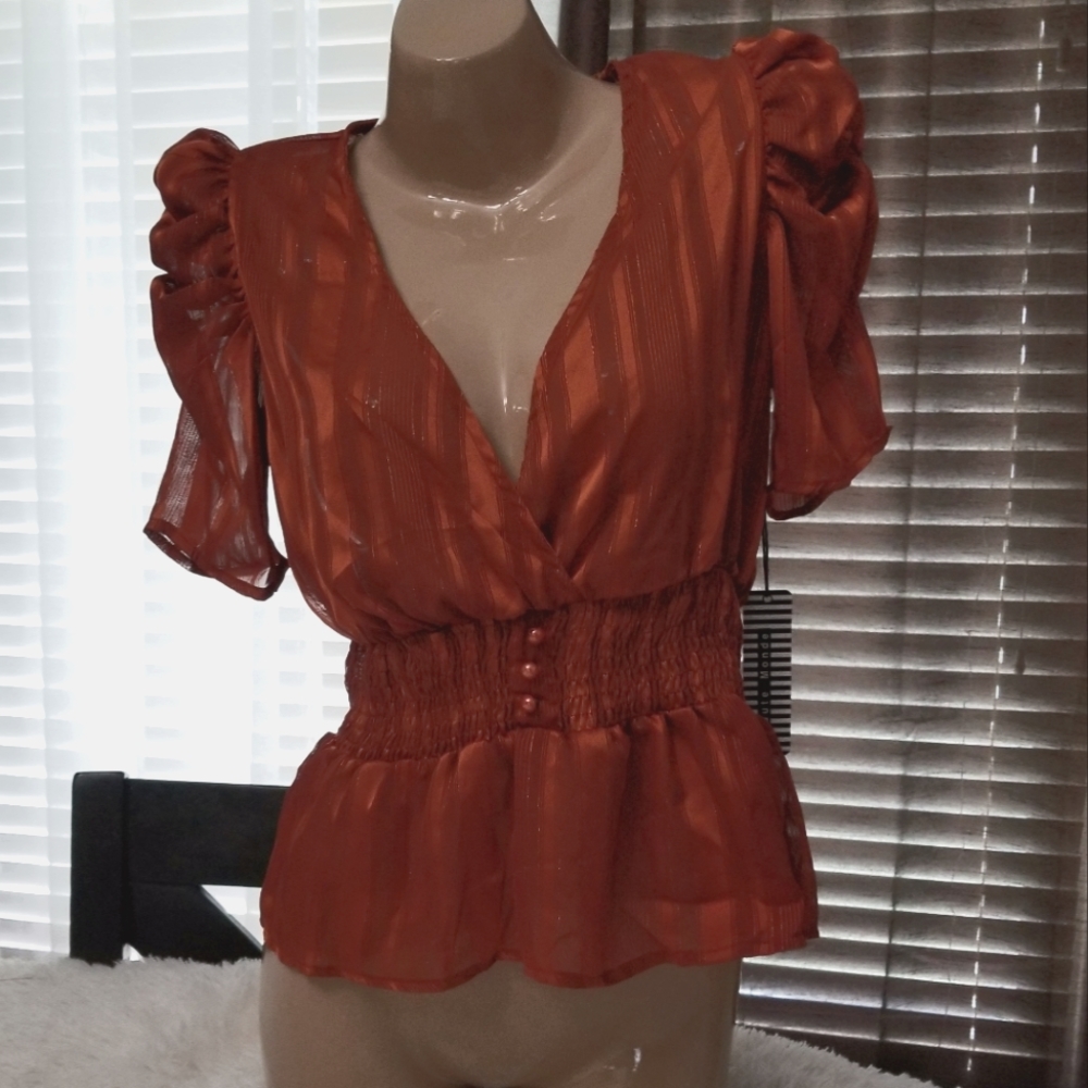 Haute Monde Rust Blouse with Puff Sleeves